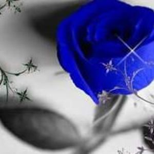 Meet your Posher, Mimi